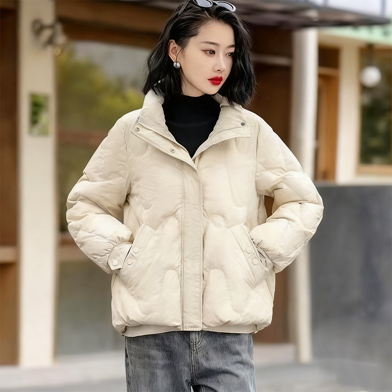 Winter Clothing Colors 2026 - جاكيت نسائي من القطن 2026 جديد